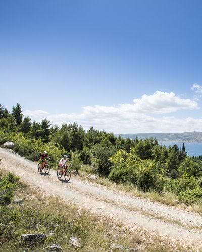 Solo cycling holidays shop